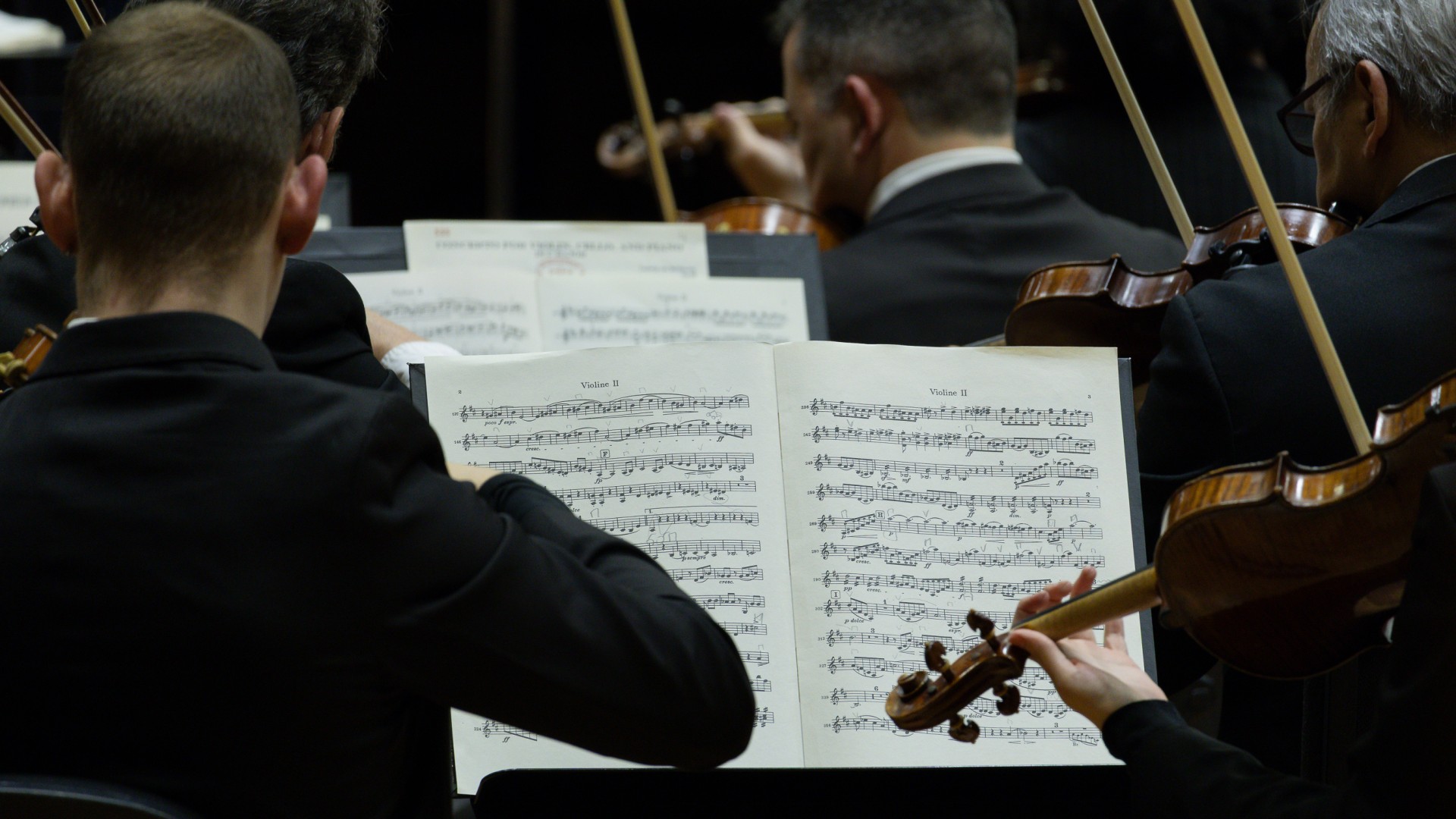 Imagem de partitura e m&uacute;sicos tocando violinos durante concerto da OSPA